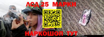 PSILOCYBIN Донской